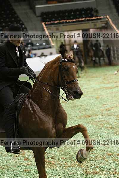 Proof 09usn-22115