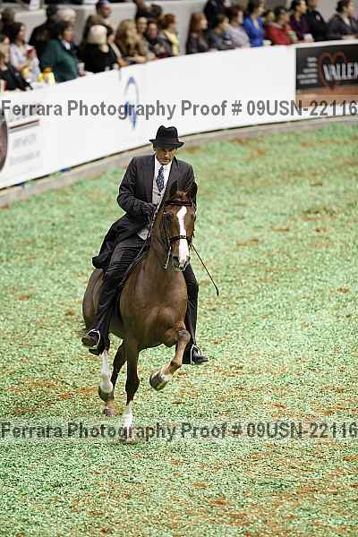 Proof 09usn-22116