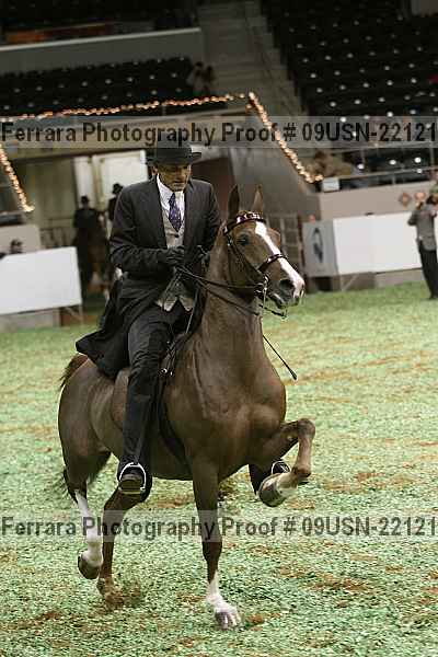 Proof 09usn-22121