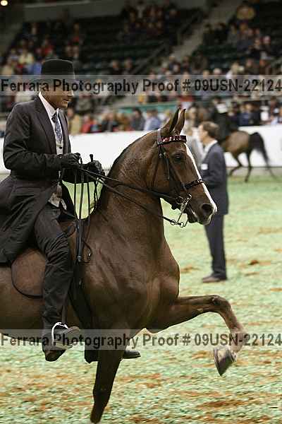 Proof 09usn-22124