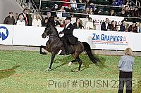 09usn-22126 proof