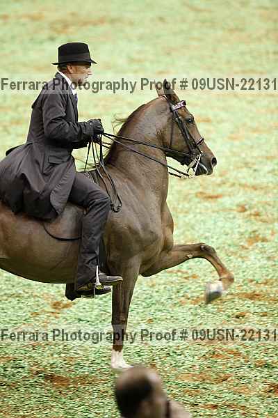 Proof 09usn-22131