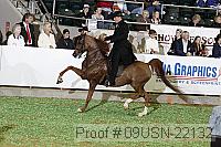 09usn-22132 proof