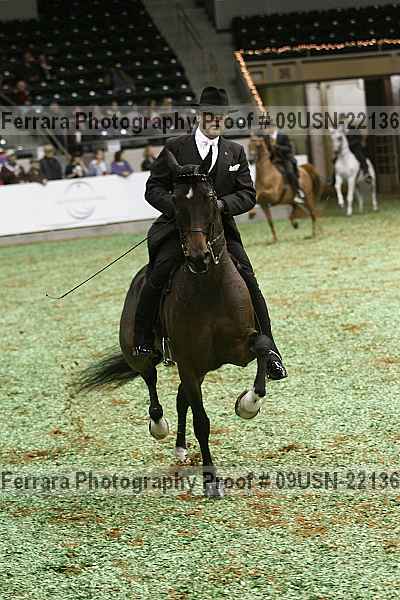 Proof 09usn-22136