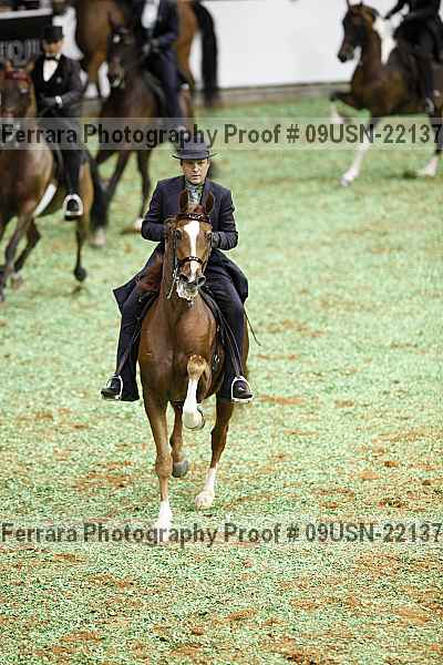 Proof 09usn-22137