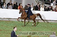 09usn-22167 proof