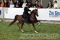 09usn-22172 proof