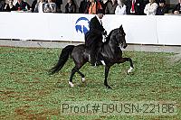 09usn-22186 proof