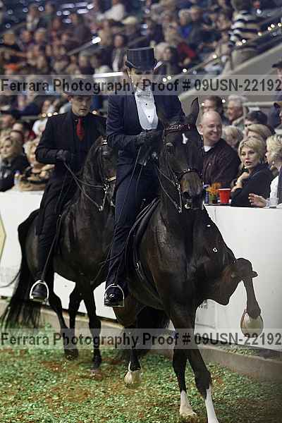 Proof 09usn-22192