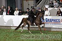 09usn-22203 proof