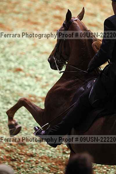 Proof 09usn-22220