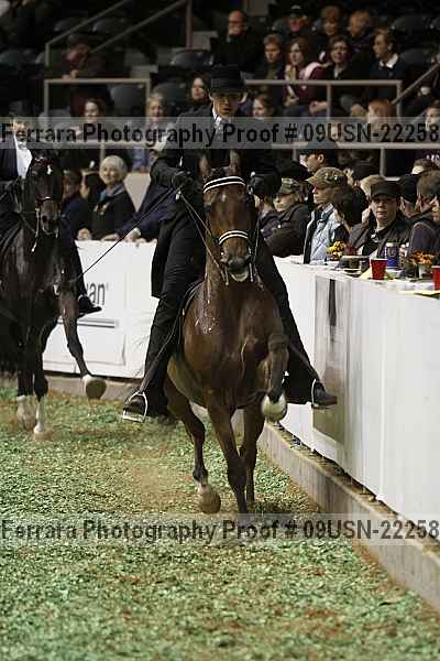 Proof 09usn-22258