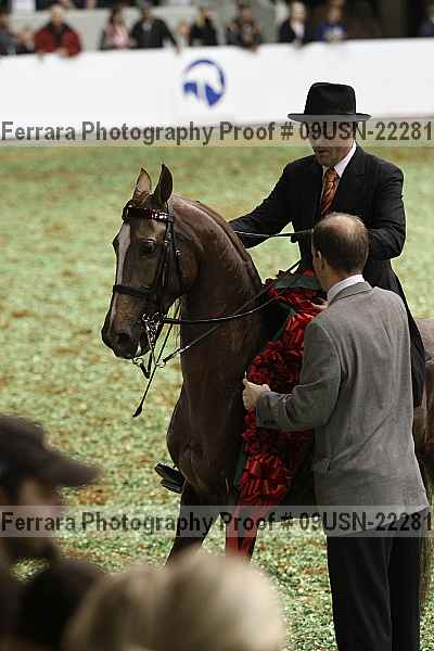 Proof 09usn-22281