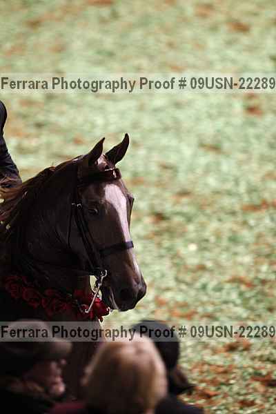 Proof 09usn-22289