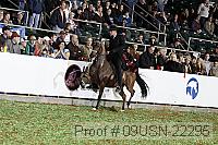 09usn-22295 proof