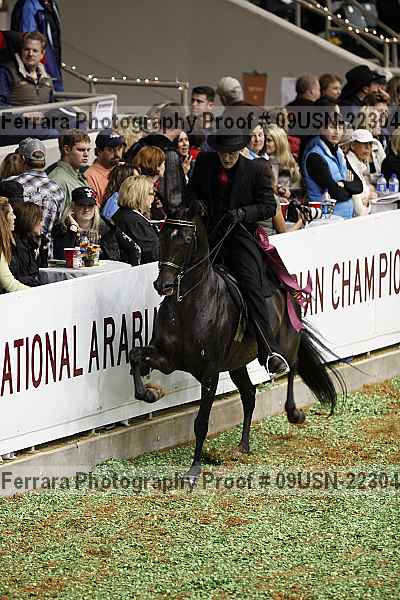 Proof 09usn-22304