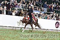 09usn-22311 proof