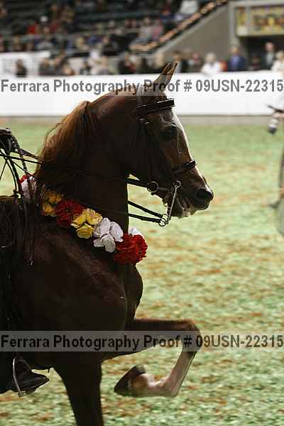Proof 09usn-22315