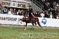 09usn-22316 proof