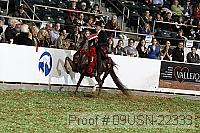 09usn-22333 proof