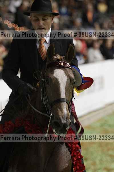 Proof 09usn-22334