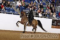 09usn-09222 proof
