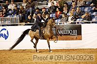 09usn-09226 proof