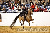 09usn-09228 proof