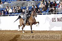 09usn-09231 proof