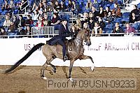09usn-09233 proof
