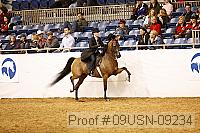 09usn-09234 proof