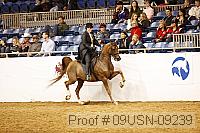 09usn-09239 proof