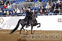 09usn-09242 proof