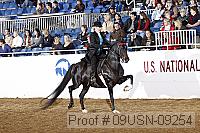09usn-09254 proof