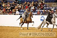 09usn-09257 proof