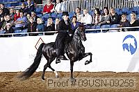09usn-09258 proof