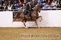 09usn-09264 proof