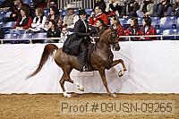 09usn-09265 proof