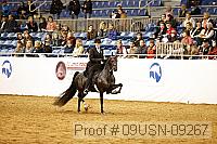 09usn-09267 proof