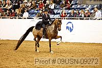 09usn-09272 proof