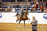 09usn-09274 proof