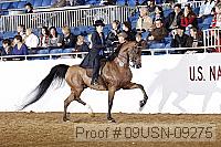 09usn-09275 proof