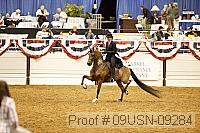09usn-09284 proof