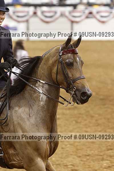 Proof 09usn-09293