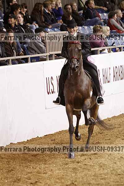 Proof 09usn-09337