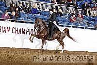 09usn-09353 proof