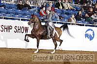 09usn-09363 proof