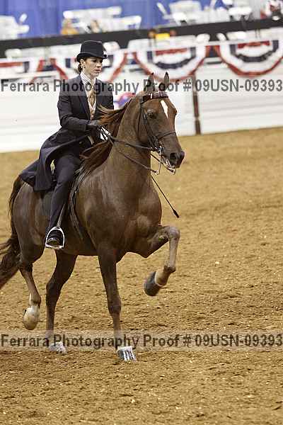 Proof 09usn-09393