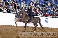09usn-09402 proof