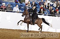 09usn-09410 proof